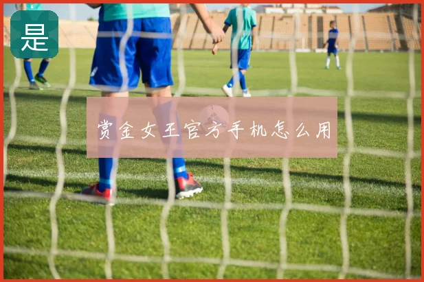 赏金女王官方手机怎么用